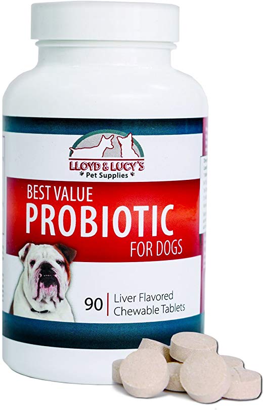 Best Value Probiotic for Dogs, 90 chewable Tablets, 7 Beneficial Strains, 4 Billion CFUs per Tablet, Acidophilus probiotics for Digestion and Immune Support