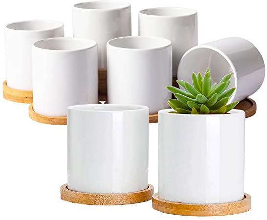 Succulent Plant Pots, 3.2 inch Ceramic Flower Pot with Bamboo Tray, Small Cactus Planter Pots with Drainage Holes, 8 Pack (Plants NOT Included) (Pure White)