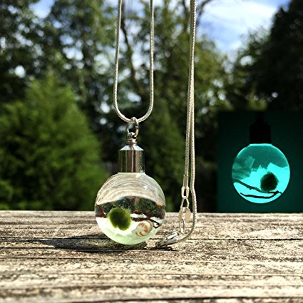 Glow In The Dark Marimo Moss Ball Necklace Live Terrarium Necklace Wearable Plant Necklace Plant Fashion Accessories