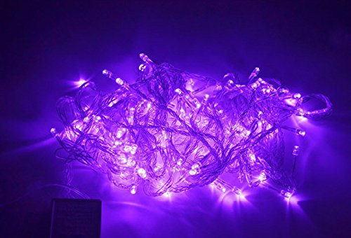 SunbowStar Battery Powered 3M 30LED Decorative String Lights(Purple)
