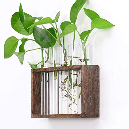 Ivolador Wall Mounted Hanging Planter Test Tube Flower Bud Vase Tabletop Glass Terrariumin Wooden Stand with 5 Test Tube Perfect for Propagating Hydroponic Plants Home Garden Wedding Decoration
