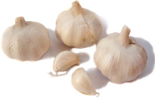 Fresh Garlic / Lasan - 1lb
