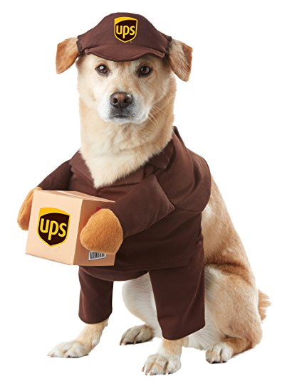 California Costumes UPS Pal Pet Halloween Costume