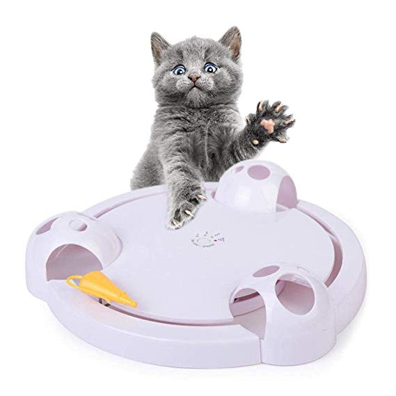 Running Pet Cat Toy, Interactive Automatic Toy for Cat or Kitten, Adjustable Electronic Battery Operated Toy