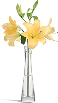 ComSaf Small Glass Vase for Flower Bud Home Decor Clear, Pack of 1