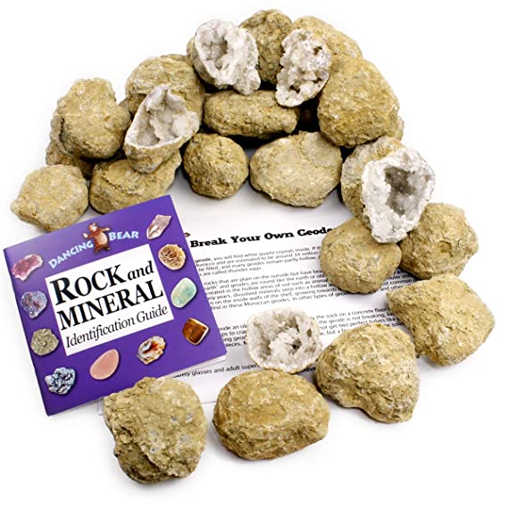 Dancing Bear 35 Break Your Own Geodes (1.5-2") 90% Hollow, Easy Crack Open & Discover Surprise Crystals Inside! Educational Info, Rock ID Book and Instructions Included, Fun Party Favors & Prizes