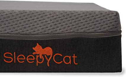 SleepyCat Latex 7 Inch 100% Organic Latex Queen Size Mattress (78x60x7 Inches, Natural Latex)