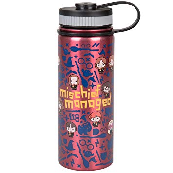 Harry Potter Stainless Steel Water Bottle - With Fun Mischief Managed Chibi Character Design - 550ml