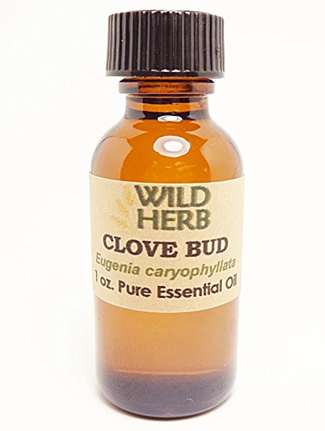 Bulk Clove Bud Essential Oil Organic