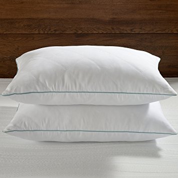Basic Beyond Quilted Feather and Down Pillow,600 Fill Power Peach Skin Fabric,White,King Size,Set of 2