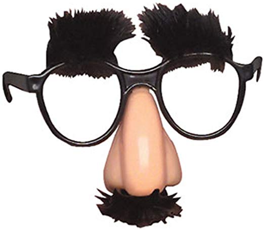 RI Novelty Funny Novelty Disguise Nose and Glasses Prank