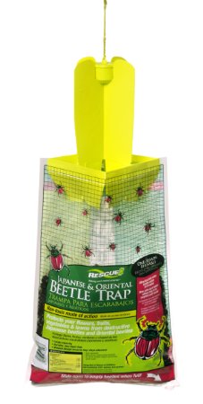 Rescue - Disposable Non-Toxic Japanese/Oriental Beetle Trap