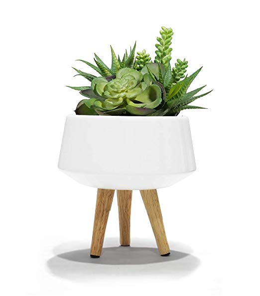 Ceramic Succulent Cactus Planter Pot - 5.3 Inch Modern White Round Decorative Bonsai Plant Flower Pot Indoor with Triangular Wooden Stand for Desk Decor