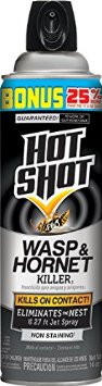 Wasp & Hornet Spray Killer Hot Shot 17.5 Oz