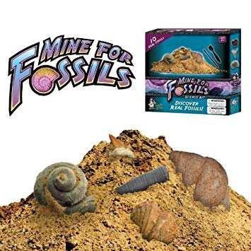 Discover with Dr. Cool Mine for Fossils Science Kit