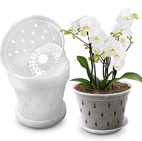Lanccona Orchid Pot, 6.7 Inch 8 Pack Orchid Pots with Holes and Saucers, Clear Plastic Plant Pot Indoor