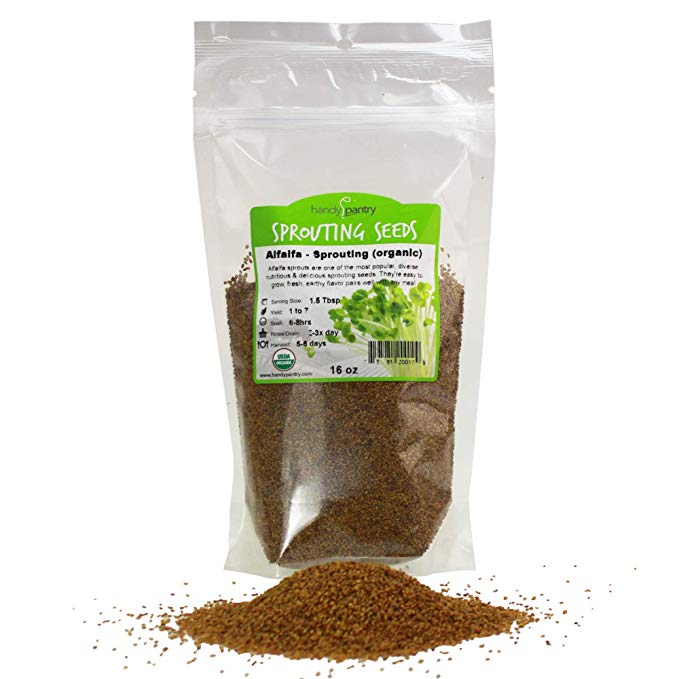 Organic Alfalfa Sprouting Seeds - 1 Lbs - Resealable Bag - Handy Pantry Brand - Growing Sprouts, Food Storage & More