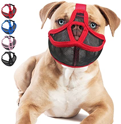 Short Snount Dog Muzzles-Adjustable Soft Breathable Mesh Mouth Cover to Prevent Barking Biting Licking and Eating Dirty Things Support Breathing and Drinking Training Mask (Medium,Red)
