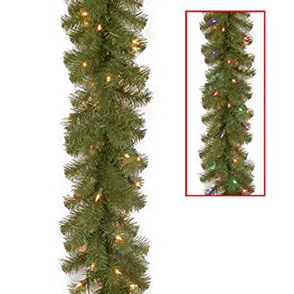 National tree 9 Foot by 10 Inch North Valley Spruce Garland with 50 Battery Operated Dual Color LED Lights (NRV7-302LD-9AB1)