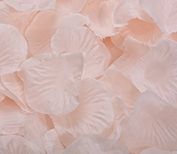Flyusa 1000pcs Fabric Silk Rose Flower Petals Wedding Table Scaters Confetti Bridal Party Flower Girl Decoration(Champagne)