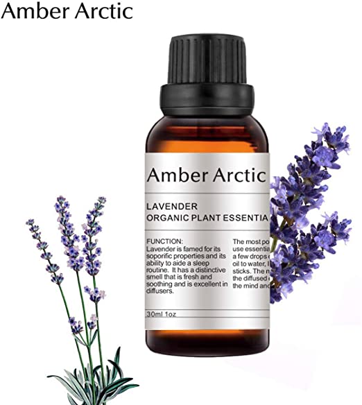 AMBER ARCTIC Lavender Essential Oil for Diffuser (30ML), 100% Pure Fresh Organic Plant Therapy Lavender Oil