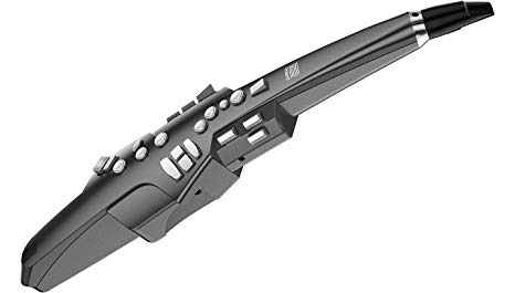 Roland Aerophone Digital Wind Instrument, Graphite Gray (AE-10G)