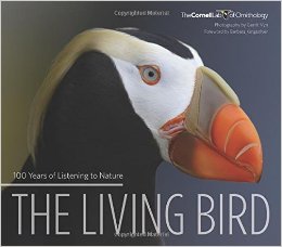 The Living Bird 100 Years of Listening to Nature