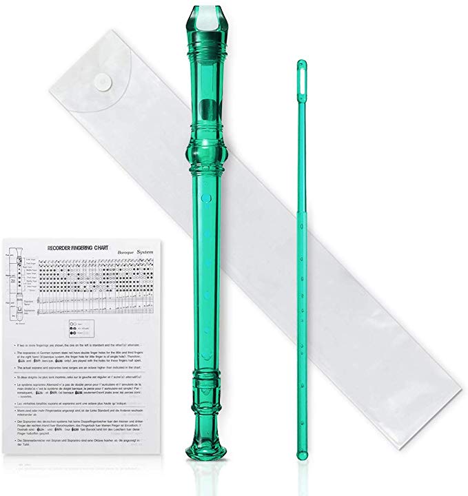 KINGSO 8-Hole Soprano Descant Recorder With Cleaning Rod   Case Bag Music Instrument (transparent green)