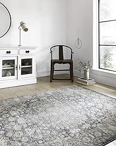 Loloi II Teagan Collection TEA-01 Denim / Mist 3'-4" x 5'-7", .25" Thick, Accent Rug, Soft, Durable, Neutral, Woven, Low Pile, Non-Shedding, Easy Clean, Living Room Rug