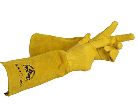 Legacy Gardens Leather Gardening Gloves for Women and Men | Thorn and Cut Proof Garden Work Gloves with Long Heavy Duty Gauntlet | Suitable for Thorny Bushes Cacti Rose Pruning - Small Yellow