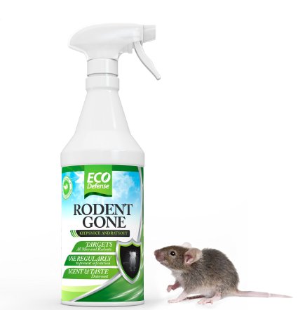 Eco Defense Mice Repellent - Humane Mouse Trap Substitute - 16 oz Organic Spray - Guaranteed Effective - Works For All Types of Mice and Rats