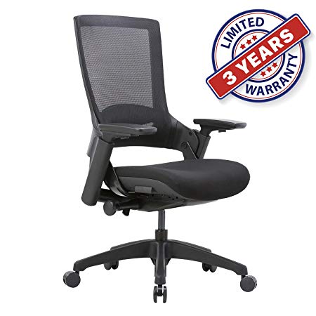 Ergonomic High Swivel Executive Chair with Adjustable Height 3D Arm Rest Lumbar Support and Mesh Back for Home Office (Black)