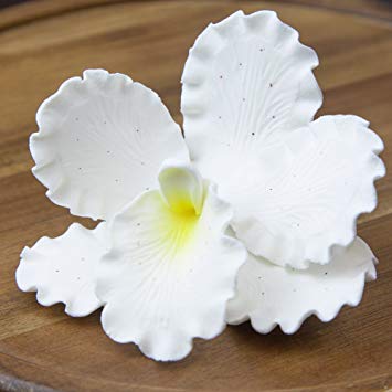 Global Sugar Art Cattleya Orchid Sugar Cake Flowers White Large, 9 Count by Chef Alan Tetreault
