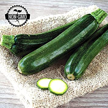 Gaea's Blessing Seeds - Organic Zucchini Seeds (30 Seeds) Non-GMO Heirloom Black Beauty Summer Squash 97% Germination Rate