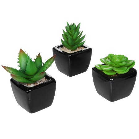 Set of 3 Modern Square Black Ceramic Artificial Succulent Planter / Mini Faux Potted Plants - MyGift®
