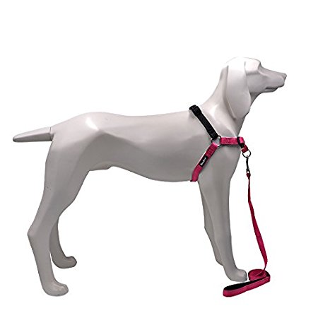 No Pull Best Dog Harness - and Leash Front Clip Comfortable Safe for Small Medium and Large Dogs Pets Training Walking