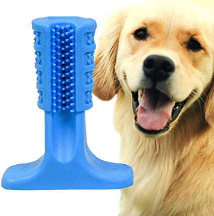 PETSMAZING Dog Toothbrush chew Toy for Dogs and Nontoxic Teeth Cleaning Kit with Great Dental Hygiene, Dual Headed | Stick Dog Toothbrushes for Oral Care