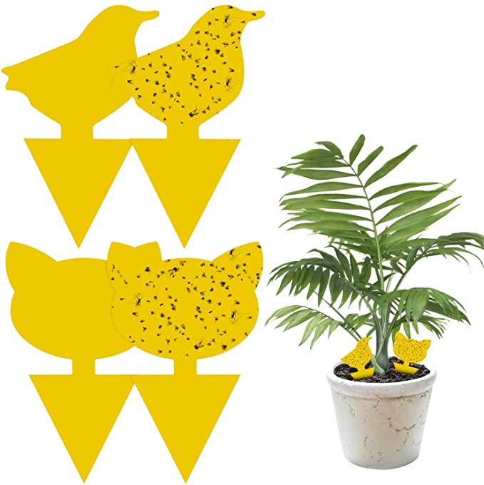 48 PCS Yellow Sticky Fly Traps, Outdoor/Indoor Protection Plant from Mosquito Aphid/Fungus Gnat/Leaf Flies/White flies, Advanced Dual-sided Plug in Sticky Bug Catcher for Home Garden Balcony