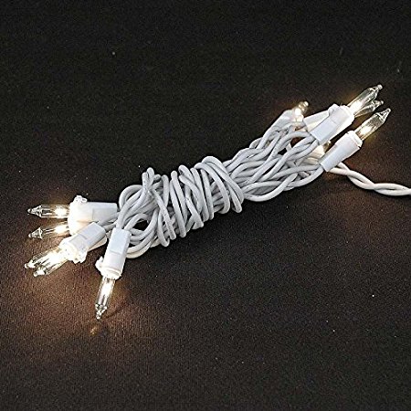 Novelty Lights 10 Light Clear Christmas Craft Mini Light Set, Non-Connectable, White Wire, 4' Long