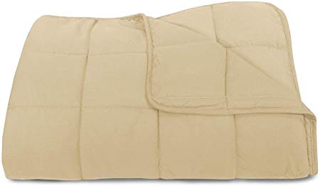 Weighted Blanket Sleep Plush Soft Comfortable Adult Kids Unisex 12lbs 15lbs 20lbs 48" x 72" (15lbs, Beige)