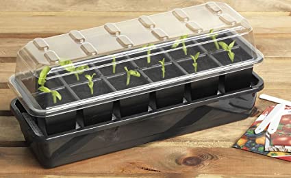 Garland GAL43SWW 12 Cell Self-Watering Propagator, Black, 38x17x13 cm