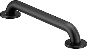 Moen Concealed Grab Bar AC Matte Black 16-Inch Bathroom Safety Grab Bar, R8916BL