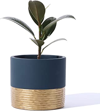 Cement Planter Pots for Plants Indoor - 5 Inch Indoor Concrete Plant Pot Bonsai Container with Drainage Hole for Modern Home Office Decor(POTEY 055903, Plant NOT Included)