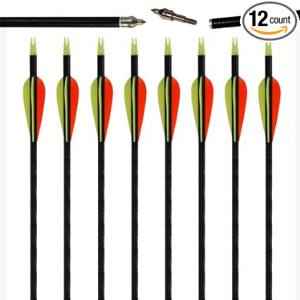 1dozen 31inch Archery Fiberglass Arrows Targeting Practice and Hunting Arrows with Screw in Arrow Heads for Recurve Bow or Compound Bows