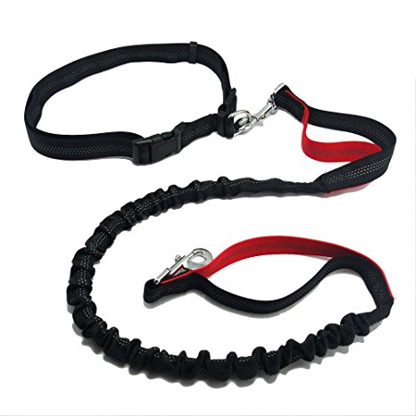 Hands Free Dog Leash for Running - Adjustable Waist Belt, Retractable Bungee, Dual Traffic Handles - Fits for up to 130 lbs Large Dogs
