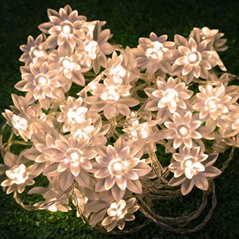 LED String Lights 4M/13feet 40 LED Lotus Flower for Chrismas, Party, Wedding, Indoor, Garden Décor (Warm White)