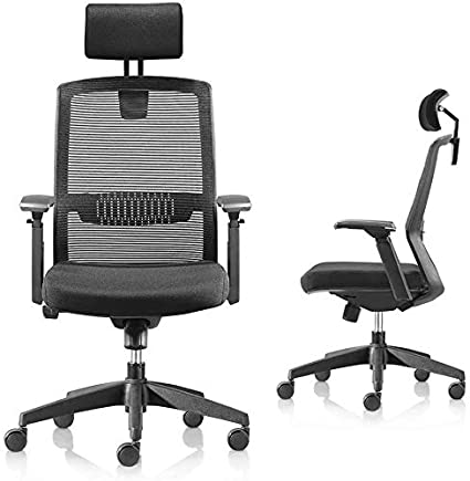 Ergonomic Office Chair, High Back Home Office Desk Chair, Adjustable Mesh Chair, Tilt Back & Lifted Armrest