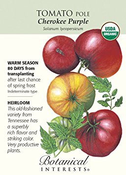 Cherokee Purple Pole Tomato Seeds - 30 Seeds - Organic