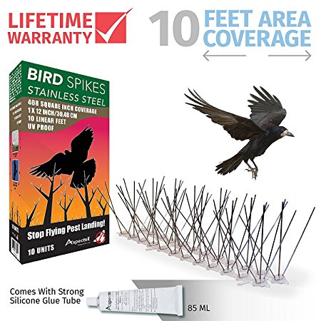 Aspectek Stainless Steel Bird Spikes 10 Feet (3 Metre), Bird Deterrent Kit With Transparent Silicone Glue