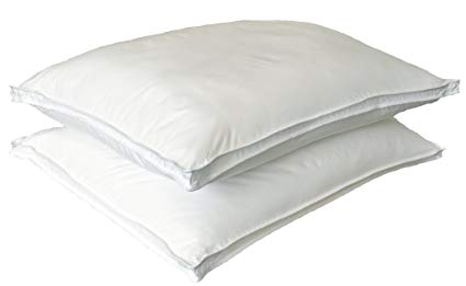 Natural Comfort ALLERGY SHIELDS Luxurious Down Alternative Pillows, 31 oz fill, Set of 2